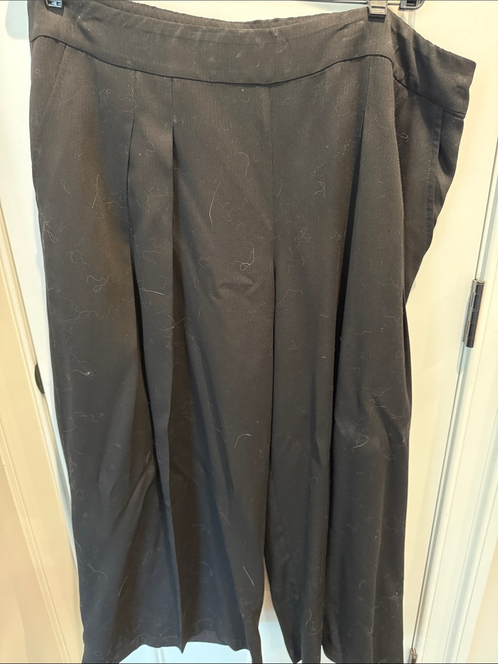 Eileen Fisher Wide Leg Pleated Pants in Black (XL)